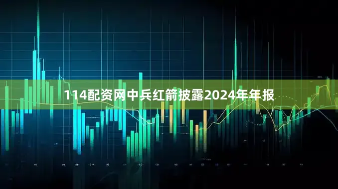 114配资网中兵红箭披露2024年年报