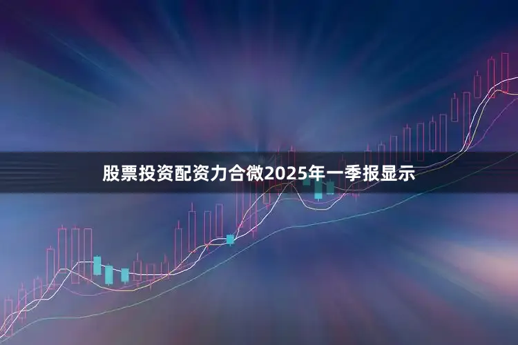 股票投资配资力合微2025年一季报显示
