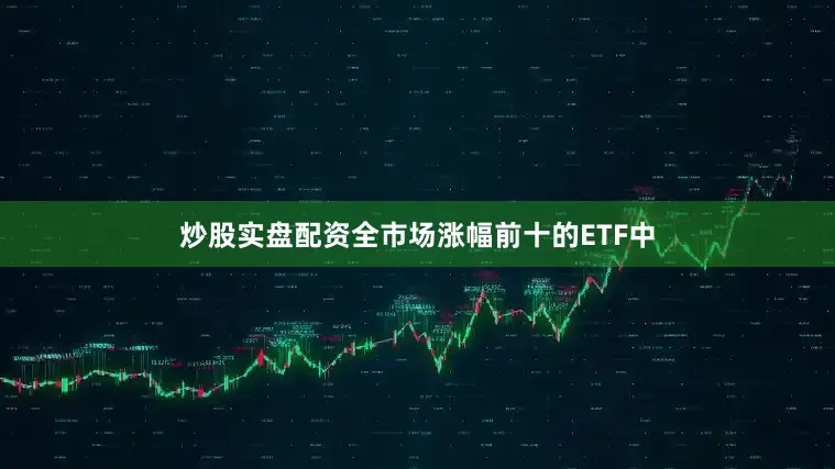 炒股实盘配资全市场涨幅前十的ETF中