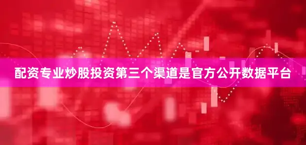配资专业炒股投资第三个渠道是官方公开数据平台