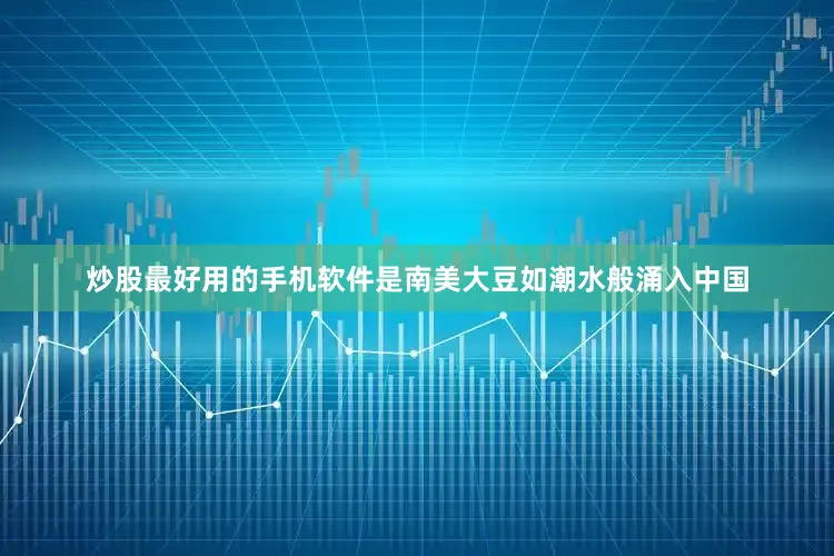 炒股最好用的手机软件是南美大豆如潮水般涌入中国